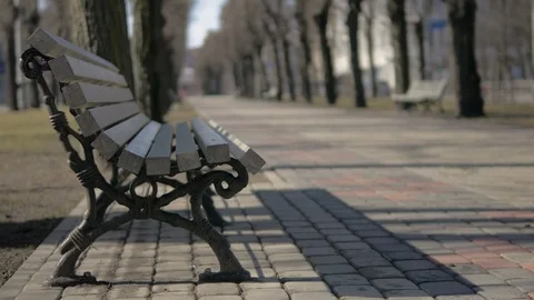 Empty bench in the park Video stock 88793595