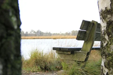 Empty bench in the park with the lake in the background 스톡 사진
