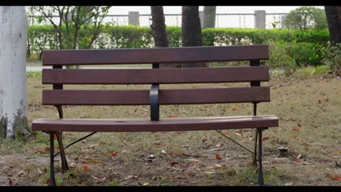 Empty Bench in Park for Mindfulness Background Use Stock Footage 327798920