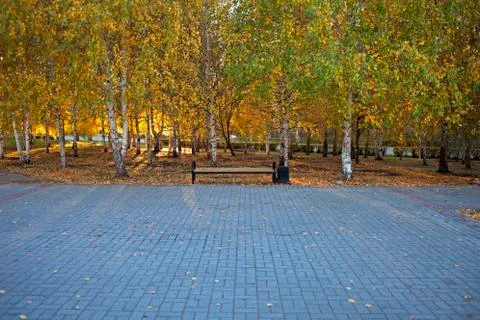 Empty bench in park Stock Photos