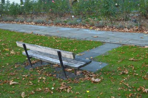 Empty bench in a park Stock Photos