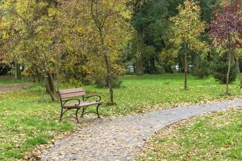 Empty bench in a park Stock Photos