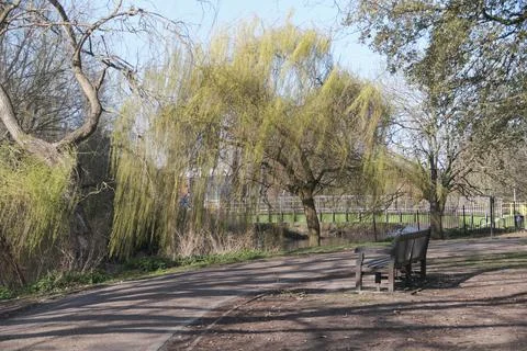 An empty bench in the park Stock Photos