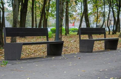 Empty bench in park Stock Photos