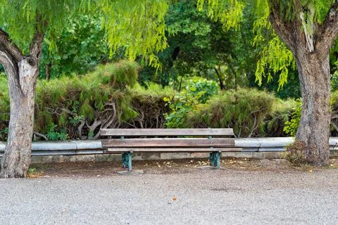 Empty bench in the park Foto stock