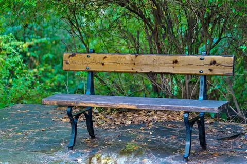 Empty bench in the park Stock Photos