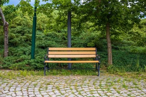 Empty bench in the park Foto stock