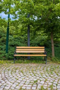 Empty bench in the park Foto stock