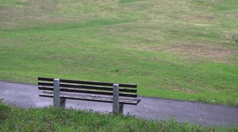 Empty bench in the park, rainy spring whether  Stock Footage 46213000