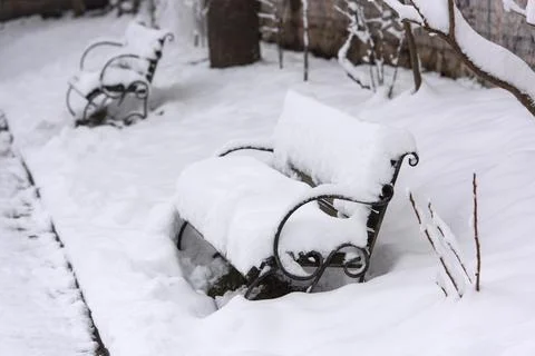 Empty bench in the park in the snow in winter Stock Photos