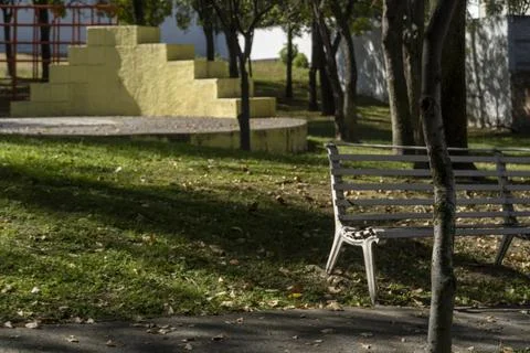 Empty bench in a park with trees in the background on grass sunlight coming in Stock Photos