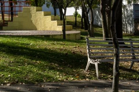 Empty bench in a park with trees in the background on grass and sunlight Fotos Stock