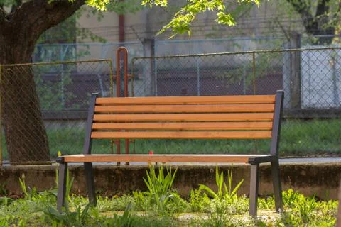 Empty bench in park under tree Stock Photos