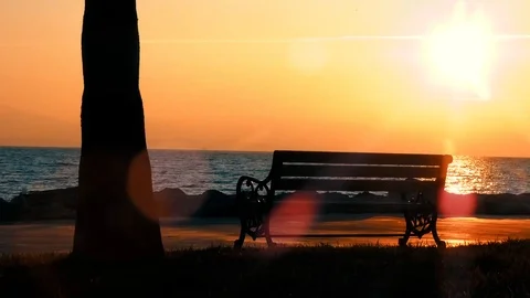 Empty Bench in a Part at Sunset Stock Footage 123766519