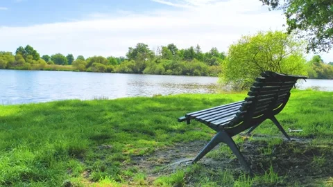 Empty bench by peaceful lakeside on sunny day Stock Footage 340529005