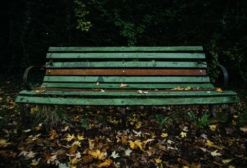 The empty bench Stock Photos