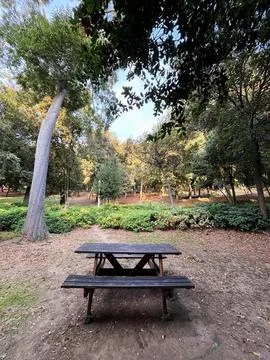 Empty bench Stock Photos