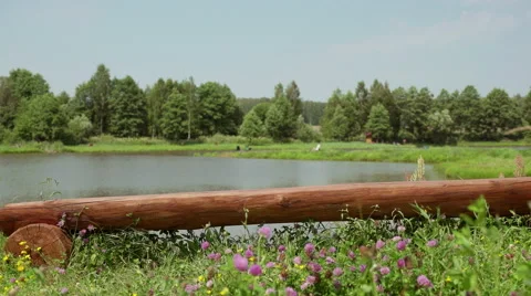 Empty bench by a pond, surrounded by forests and fields on a Sunny day Stock-Footage 65129474