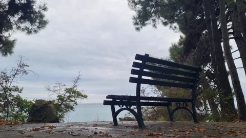 Empty bench by the seaside under cloudy sky and trees Stock Footage 319985076