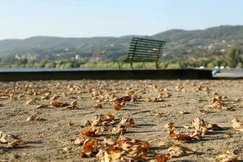 An empty bench on the shore of the lake, fallen autumn leaves on the asphalt Stock Photos