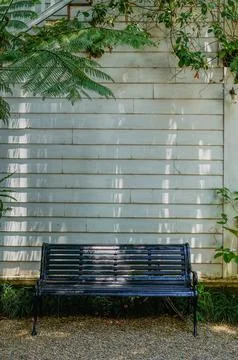 An empty bench sits in front of a textured wall with plant on the top, crea.. 스톡 사진