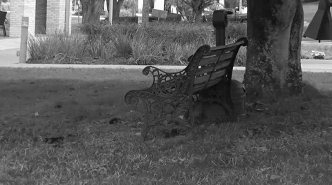 Empty bench sitting under tree in college town Stock-Footage 45600945