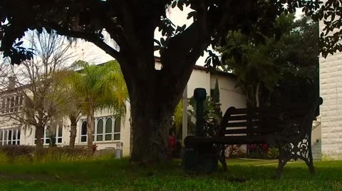 Empty bench sitting under tree in park Stock Footage 45601079