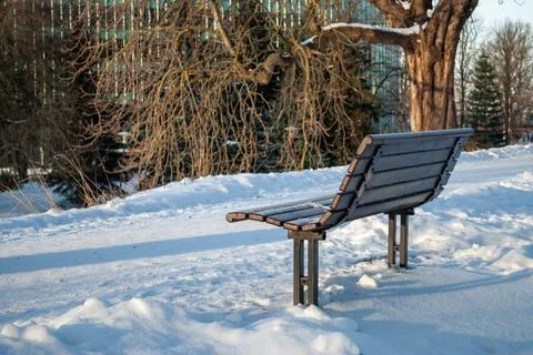 Empty bench in snow covered winter park with peaceful cold season atmosphere Фото