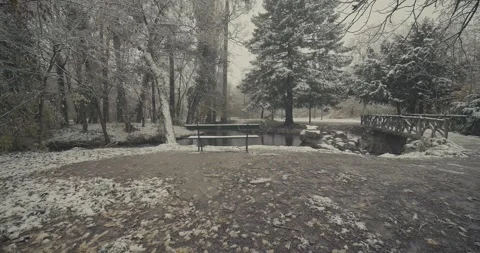 Empty bench in snowy bois de vincennes Stock Footage 321686963