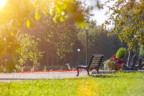 Empty bench in a summer park in sunny weather. relax concept Stock Photos