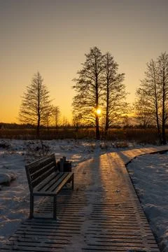 Empty bench at sunset Stock Photos