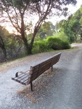 Empty bench at sunset by a trail in the park Stock Photos
