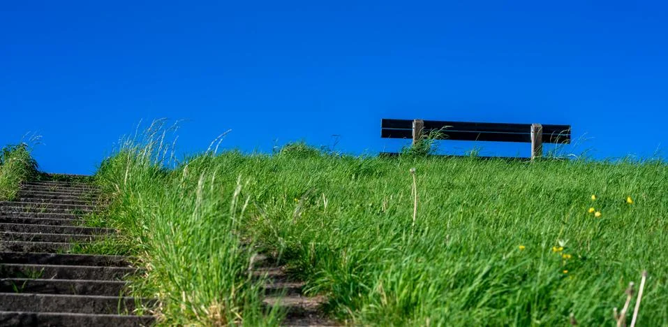 Empty bench on top of a green dike at the coastline of Germany near Hamburg. Stock Photos