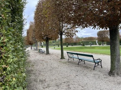 Empty bench under autumn trees in a beautiful park Stock Photos