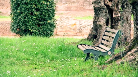 Empty bench under trees in city park dolly camera Stock Footage 61564340