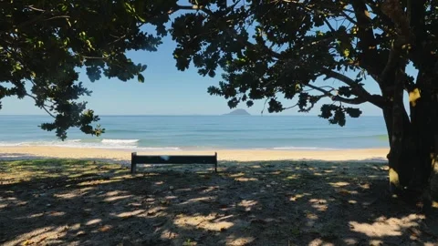 Empty Bench Under Trees Overlooking Tropical Beach and Ocean Vídeos de archivo 343399229