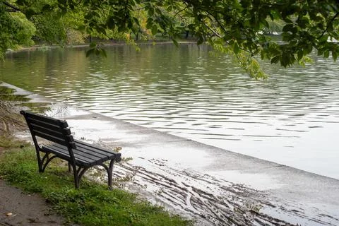Empty bench by a walking trail and a pond, Washington DC. Stock Photos