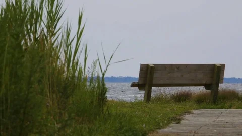 Empty Bench on Water 스톡 동영상 79970495