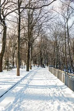 Empty benches covered with snow in winter park Stock Photos
