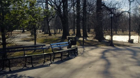 Empty benches with lake in background during wintertime in Prospect Park Vidéo 104309280