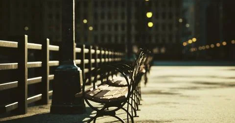 Empty benches line a waterfront pathway during early morning light Stock Illustration