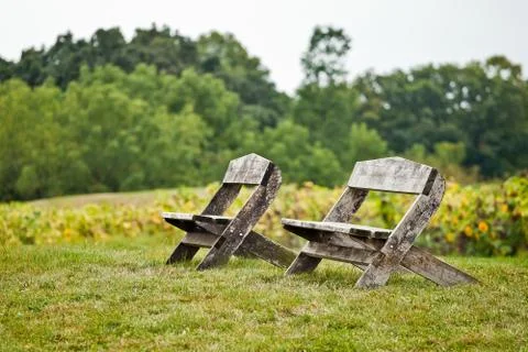 Empty benches in the park Stock Photos