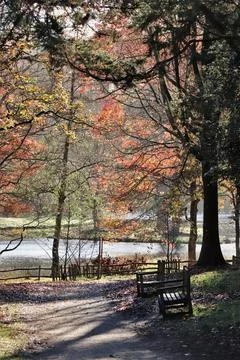 Empty benches in the park Stock Photos