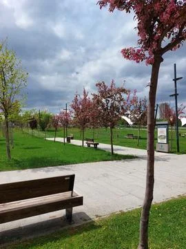 Empty Benches in a park under the sun Stock Photos