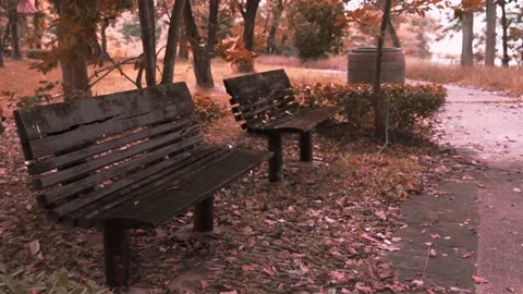 The empty benches in public park on Stock Footage 222143441