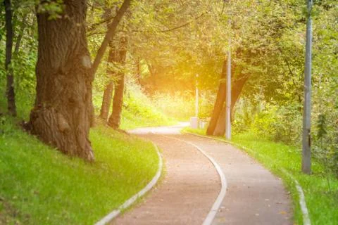 Empty bicycle lane Stock Photos
