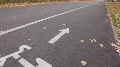 Empty bicycle path with arrow pointer in calm autumn park Stock Footage 196742132