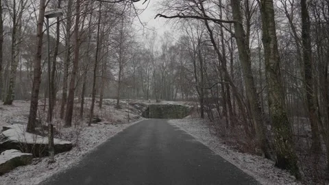 Empty Bike Path in Forest, Winter Biking scene, Dolly Pullback Vídeos de archivo 241000088