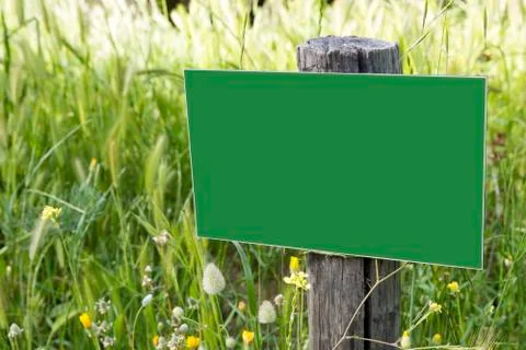 Empty billboard in the forest Stock Photos