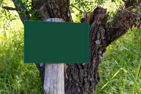 Empty billboard in the forest Stock-Fotos